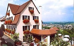 Hotel Neckarblick Bad Wimpfen